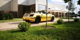 Złoty roadster-Bentley style,jedyny w PL-sam prowadzisz,cały kraj | Auto do ślubu Brzeg, opolskie - zdjęcie 5