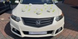 Auto do ślubu - Honda Accord VIII type S | biała perła | Auto do ślubu Jasło, podkarpackie - zdjęcie 4