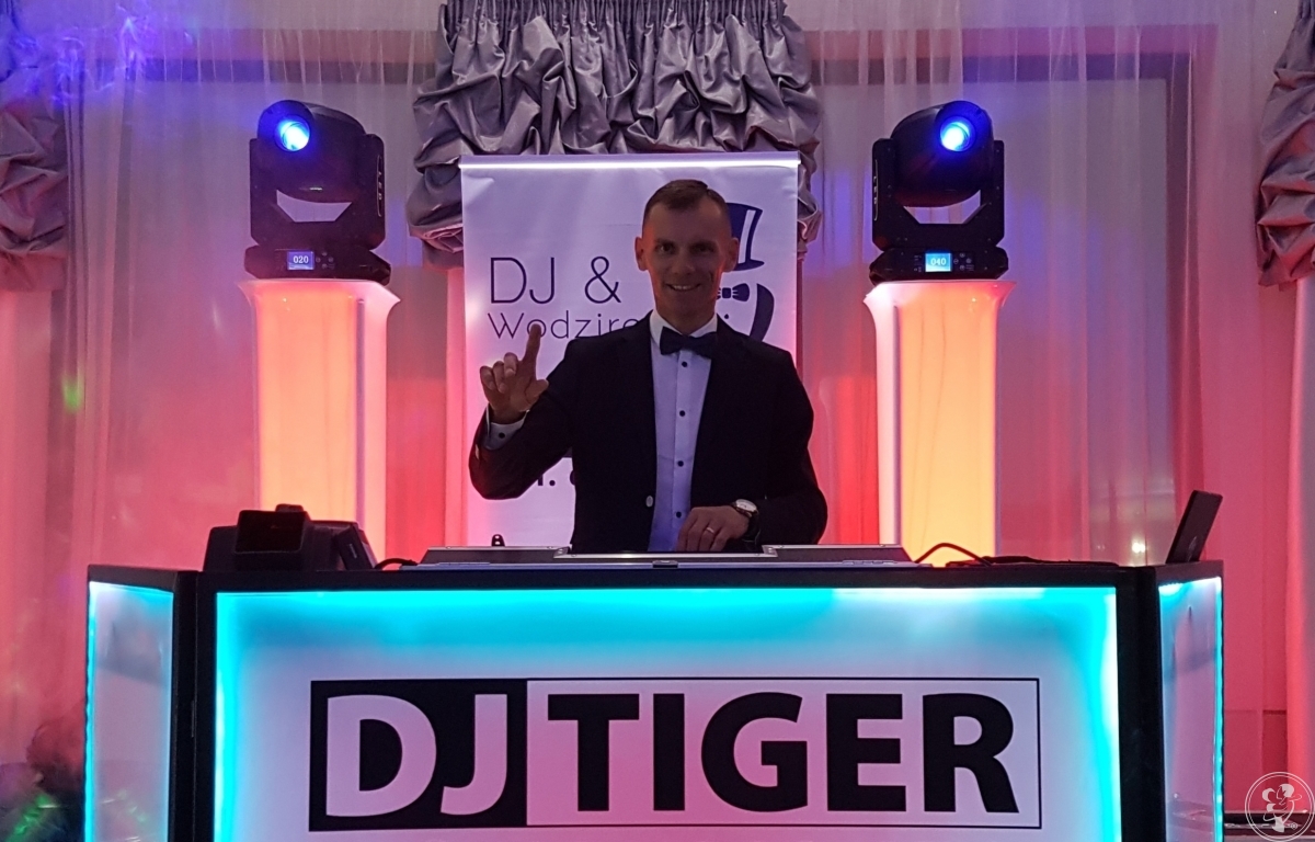 DJ / Wodzirej TIGER | DJ na wesele Tarnawatka, lubelskie - zdjęcie 1