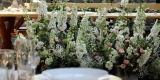 Lejman Design Group - WEDDING HUNTER aranżacja /kwiaty /scenografia, Pilica - zdjęcie 4