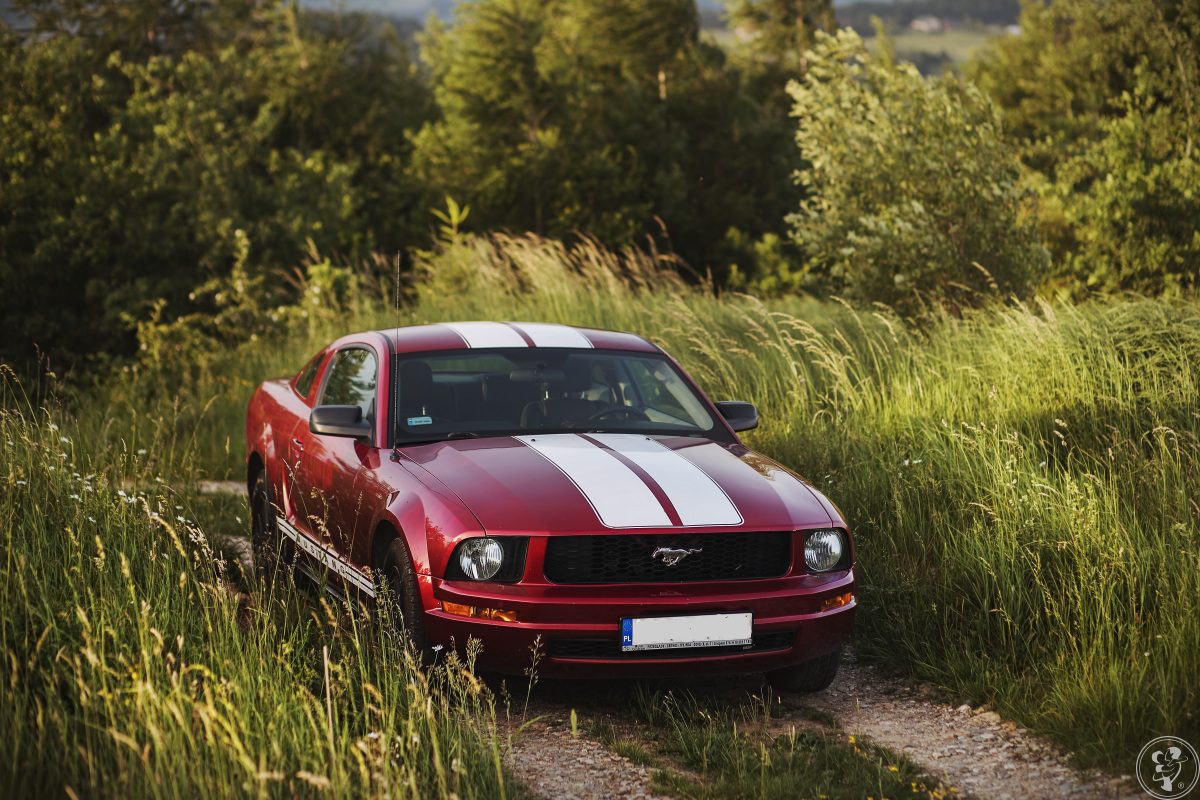 Ford Mustang | Auto do ślubu Gorlice, małopolskie - zdjęcie 1