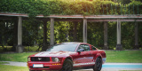 Ford Mustang | Auto do ślubu Gorlice, małopolskie - zdjęcie 4