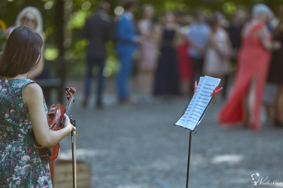 Skrzypce - oprawa muzyczna ślubów i innych uroczystości | Oprawa muzyczna ślubu Wrocław, dolnośląskie - zdjęcie 1