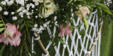 Dekoracja sali weselnej wypożyczalnia dekoracji ścianki florystyka ślu, Brzesko - zdjęcie 4