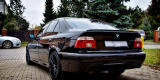 BMW do ślubu 540i 4.4 V8 | WYDECH AKRAPOVIC  | BMW 5 E39, Kalisz - zdjęcie 4