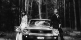 Mustangiem do ślubu ! Prowadź sam ! Ford Mustang 1968, Nowy Sącz - zdjęcie 2