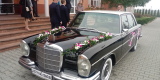 Auto do ślubu! Zabytkowy Mercedes w108 250s S-klasa 1966 rok! | Auto do ślubu Końskie, świętokrzyskie - zdjęcie 3