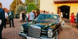 Auto do ślubu! Zabytkowy Mercedes w108 250s S-klasa 1966 rok! | Auto do ślubu Końskie, świętokrzyskie - zdjęcie 4