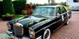 Auto do ślubu! Zabytkowy Mercedes w108 250s S-klasa 1966 rok! | Auto do ślubu Końskie, świętokrzyskie - zdjęcie 5