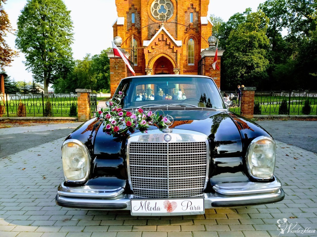 Auto do ślubu! Zabytkowy Mercedes w108 250s S-klasa 1966 rok! | Auto do ślubu Końskie, świętokrzyskie - zdjęcie 1