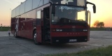 Transport Gości Weselnych | Wynajem busów Częstochowa, śląskie - zdjęcie 4