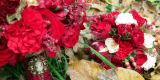 Bukiety ślubne, wianki i dekoracje kwiatowe- Po Prostu Pięknie | Bukiety ślubne Lublin, lubelskie - zdjęcie 5