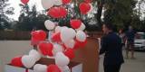 Balonowe Pudło HIT 2019 | Balony, bańki mydlane Tuchola, kujawsko-pomorskie - zdjęcie 2