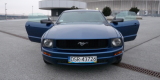 Ford Mustang, Chevrolet Corvette do ślubu, Wrocław - zdjęcie 3