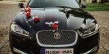 Limuzyna Jaguar xf  | Auto do ślubu Krasnystaw, lubelskie - zdjęcie 2