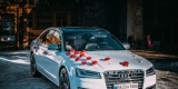 Biała Audi A8 Long | Auto do ślubu Czaniec, śląskie - zdjęcie 4