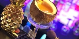 Royal Bar- Profesjonalne usługi barmańskie, Gdynia - zdjęcie 7