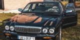 Zielony Jaguar Daimler Super V8 | Auto do ślubu Czechowice-Dziedzice, śląskie - zdjęcie 2