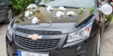 Wynajem samochodu na wesele i inne okazje Chevrolet Cruze Sanok/Lesko | Auto do ślubu Hoczew, podkarpackie - zdjęcie 2