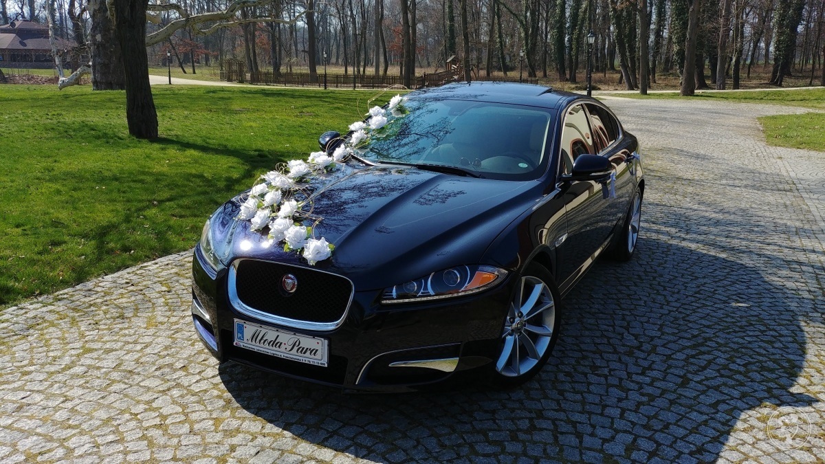Piękny JAGUAR XF do ślubu, Lubin - zdjęcie 1
