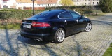 Piękny JAGUAR XF do ślubu, Lubin - zdjęcie 2