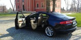 Piękny JAGUAR XF do ślubu, Lubin - zdjęcie 4