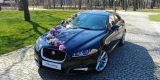 Piękny JAGUAR XF do ślubu, Lubin - zdjęcie 5