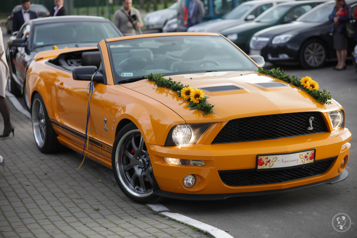 Mustang Gt Shelby convertible, Fiat 125p | Auto do ślubu Piotrków Trybunalski, łódzkie - zdjęcie 1