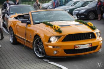 Mustang Gt Shelby convertible, Fiat 125p | Auto do ślubu Piotrków Trybunalski, łódzkie