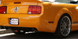Mustang Gt Shelby convertible, Fiat 125p | Auto do ślubu Piotrków Trybunalski, łódzkie - zdjęcie 2
