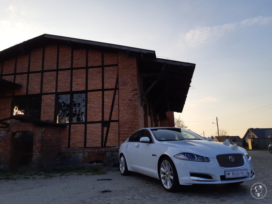 Piękny biały Jaguar XF na 20 calowych felgach | Auto do ślubu Szprotawa, lubuskie - zdjęcie 1