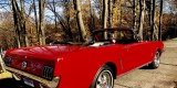 Ford Mustang 1965 i 1967 i Radiowóz | Auto do ślubu Bochnia, małopolskie - zdjęcie 4