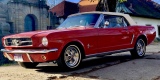 Ford Mustang 1965 i 1967 i Radiowóz | Auto do ślubu Bochnia, małopolskie - zdjęcie 3