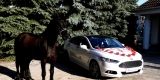 Auto/samochód/koń do ślubu lub inne okazje, Warszawa - zdjęcie 2