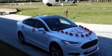 Auto/samochód/koń do ślubu lub inne okazje, Warszawa - zdjęcie 3