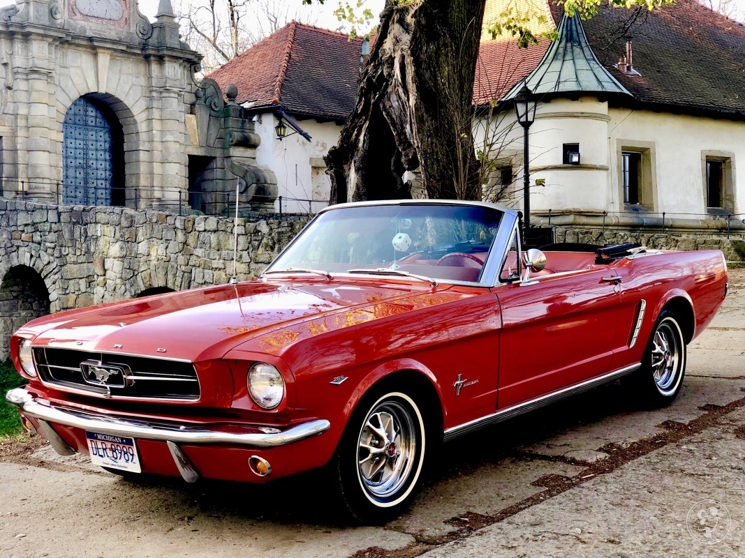 Ford Mustang 1965 i 1967 i Radiowóz | Auto do ślubu Bochnia, małopolskie - zdjęcie 1