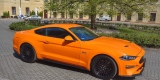 Mustang 5.0 GT 2018r Do ślubu oraz na inne okazje | Auto do ślubu Warszawa, mazowieckie - zdjęcie 2