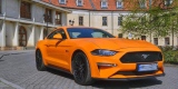 Mustang 5.0 GT 2018r Do ślubu oraz na inne okazje | Auto do ślubu Warszawa, mazowieckie - zdjęcie 3