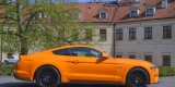 Mustang 5.0 GT 2018r Do ślubu oraz na inne okazje | Auto do ślubu Warszawa, mazowieckie - zdjęcie 4