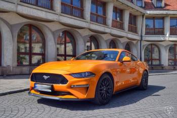 Mustang 5.0 GT 2018r Do ślubu oraz na inne okazje | Auto do ślubu Warszawa, mazowieckie