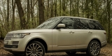 Range Rover VOGUE - Nowoczesny i elegancki samochód do ślubu | Auto do ślubu Rzeszów, podkarpackie - zdjęcie 2