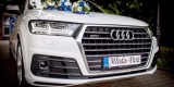 Audi Q7 S-line NOWE do ślubu | Auto do ślubu Mikołów, śląskie - zdjęcie 5