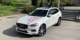 Elektryczne Volvo XC60 do ślubu, Krakow - zdjęcie 1