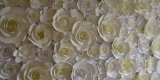 Ścianka kwiatowa | Dekoracje ślubne Sosnowiec, śląskie - zdjęcie 2