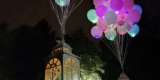 Koronkowy Motylek Balony LED z wyjątkową oprawą | Balony, bańki mydlane Bytom, śląskie - zdjęcie 2
