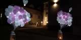 Koronkowy Motylek Balony LED z wyjątkową oprawą | Balony, bańki mydlane Bytom, śląskie - zdjęcie 3