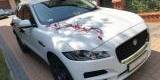 Jaguar F-Pace - LuxCAR - wynajem samochodów | Auto do ślubu Żory, śląskie - zdjęcie 2