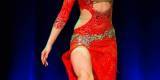 Taniec brzucha na weselu/rocznicy/urodzinach/ORIENTALNE SHOW, Katowice - zdjęcie 3