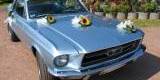 Zabytkowe auta / Chevrolet Belair / Mustang Coupe / Cadillac Deville , Rybnik - zdjęcie 3