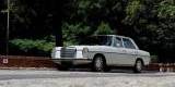 Zabytkowy Mercedes w115 z Klimatyzacją Retro Oldtimer w126 sec, Bielsko-Biała - zdjęcie 2